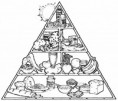 /album/alimentacion/food-pyramid-1-jpg/