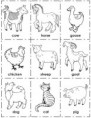 /album/animales/animal1-jpg/