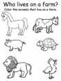 /album/animales/animal4-jpg/
